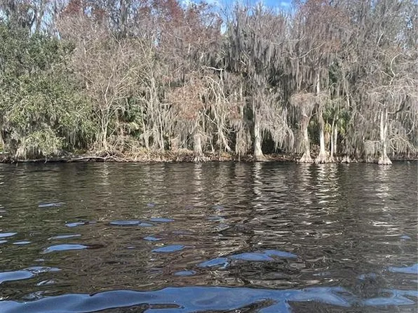 233 Stella Rd #6, Georgetown, FL 32139