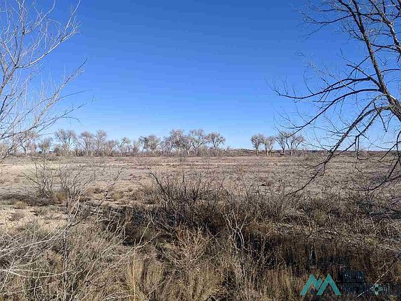 4th image of 33 Driftwood Pl