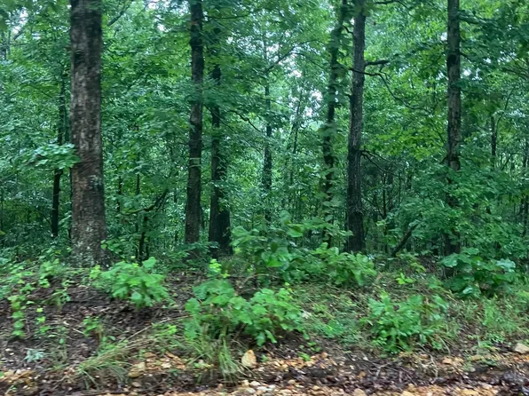 0 Newman Trl, Williford, AR 72482