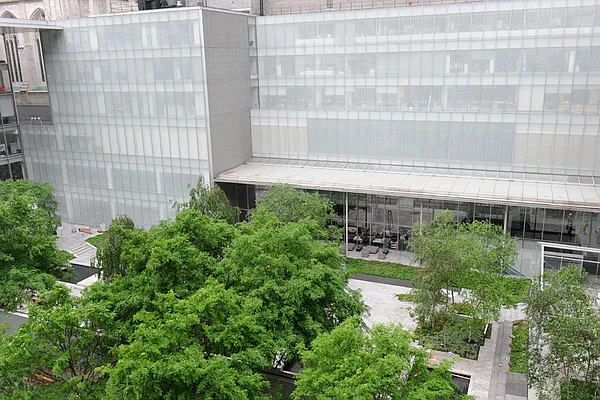 Sold by Stribling | media 5