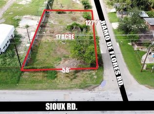 4905 Ramo De Flores, Donna, TX 78537