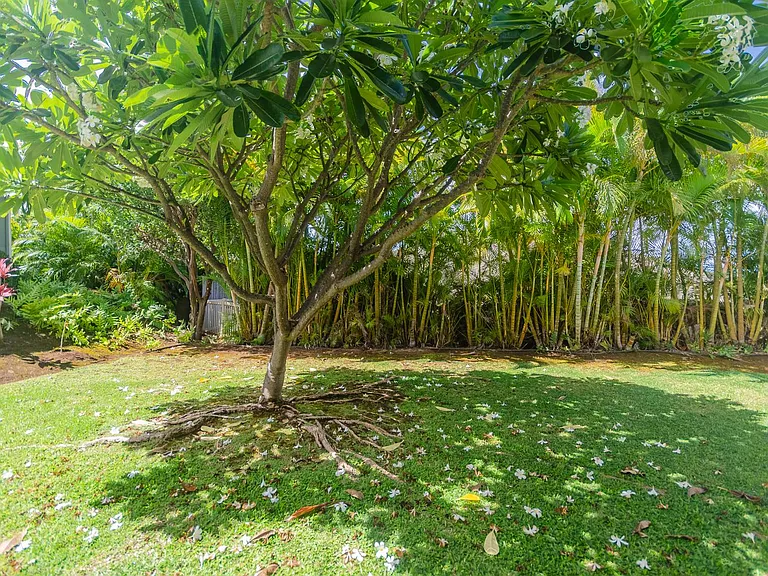 79 Kuli Puu St — Photo 22