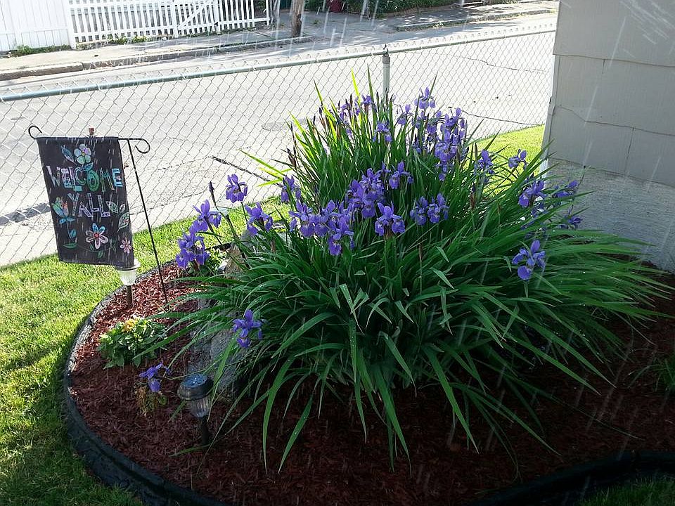 Front landscaping