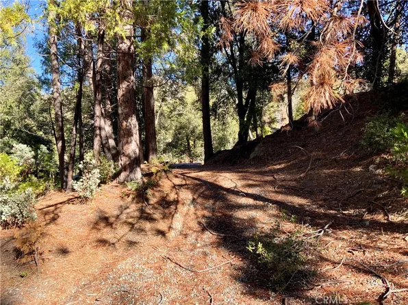 50963 Chu Ranch Rd #5, Oakhurst, CA 93644