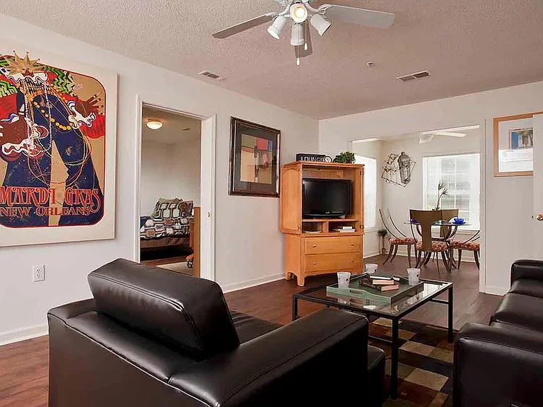 University Village at Clemson Student Housing — Photo 9