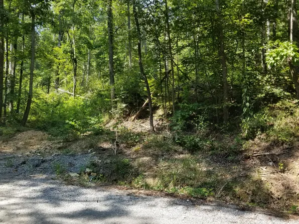 630 County Road 224, Niota, TN 37826