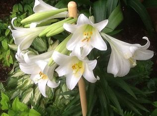 220 Mitchell Blvd, Gadsden, AL 35904