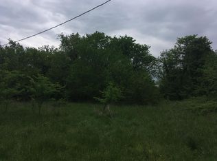 14407 W Hurtt Ln, Walnut Grove, MO 65770