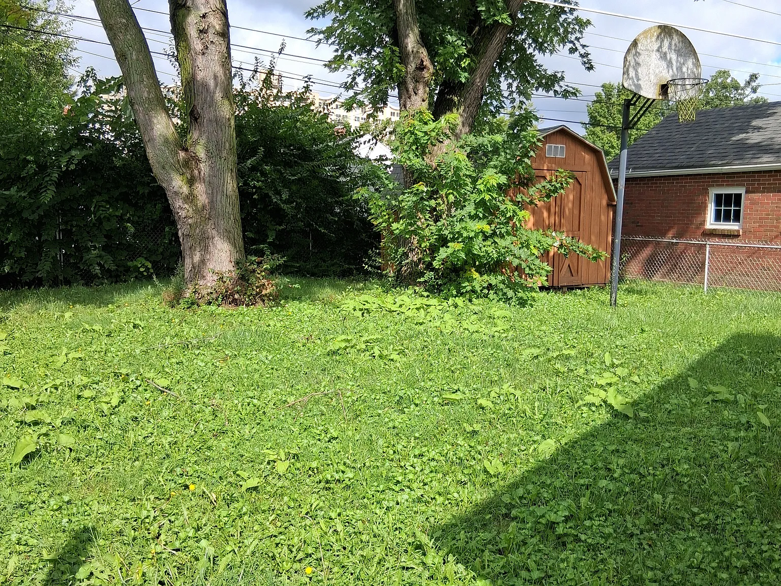 3 bed, 1617 sqft, $1,400 — Photo 2