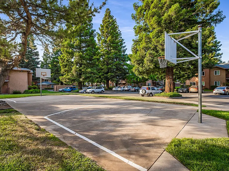 Pine Tree Apartments — Photo 31