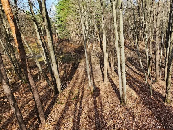 Greenbush Rd #1, Akron, NY 14001