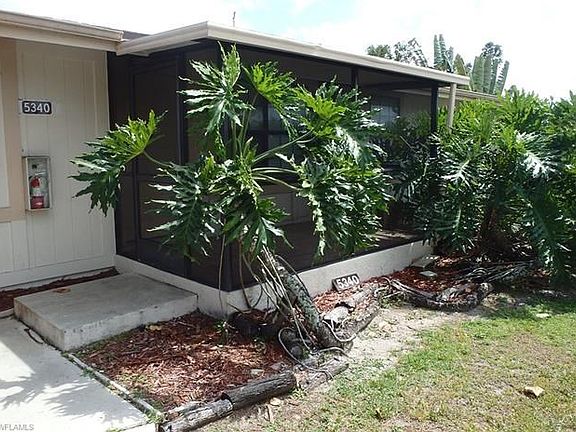 Shade from the monstera palms