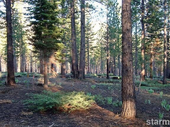 5th image of 565 Cochise Cir