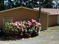 1st image of 28006 12th Avenue Ct E