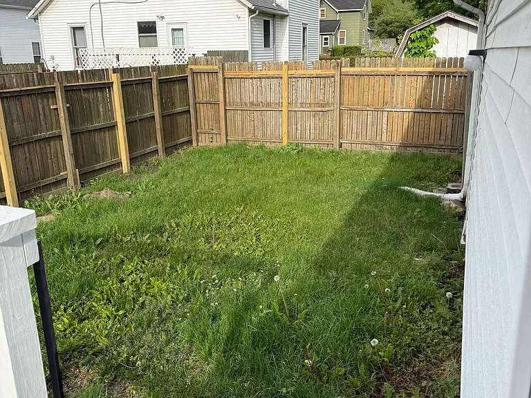 Fenced backyard