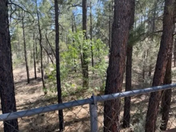 270 N Clark Rd #13, Show Low, AZ 85901