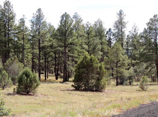 6537 E Wapiti Way, Show Low, AZ 85901