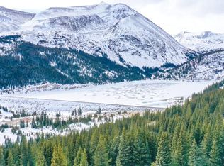 231 Settele Ln, Alma, CO 80420