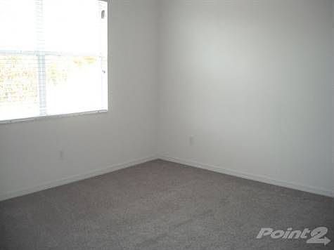 mallard_copper_mandalay 034