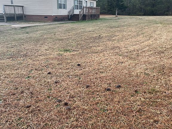 2nd image of 102 Buxton Ct