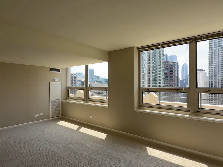 745 N Rush St #3203 — Photo 17