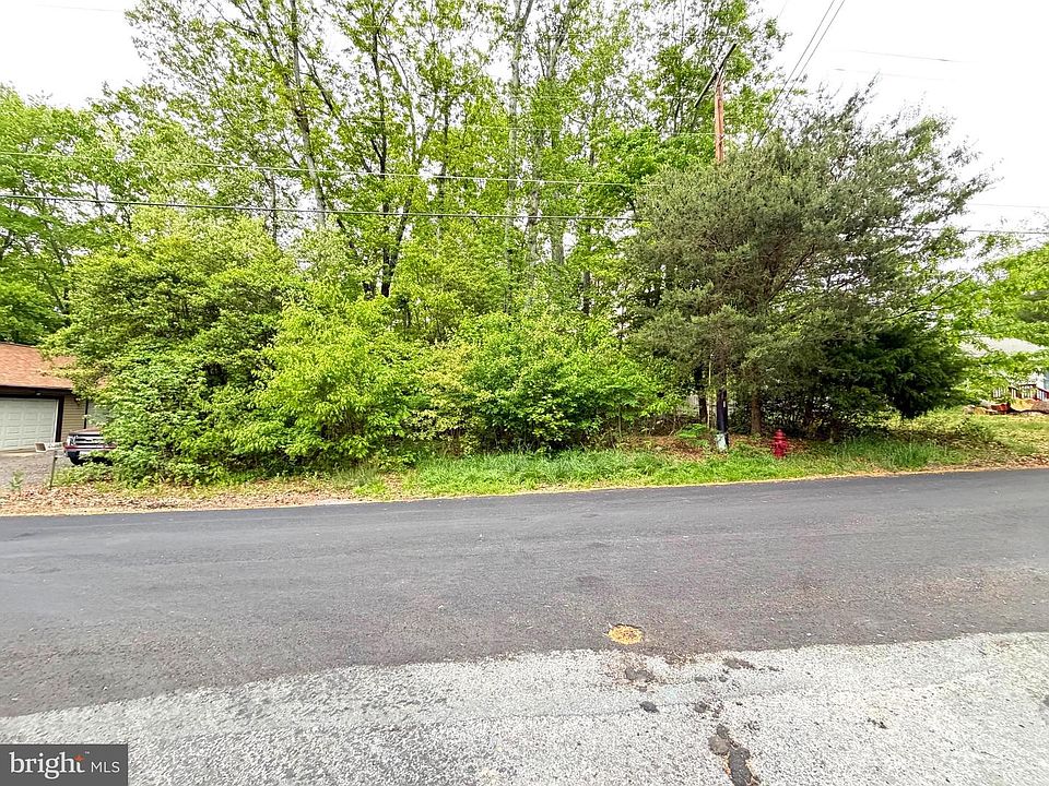 2nd image of 11593 Deadwood Dr