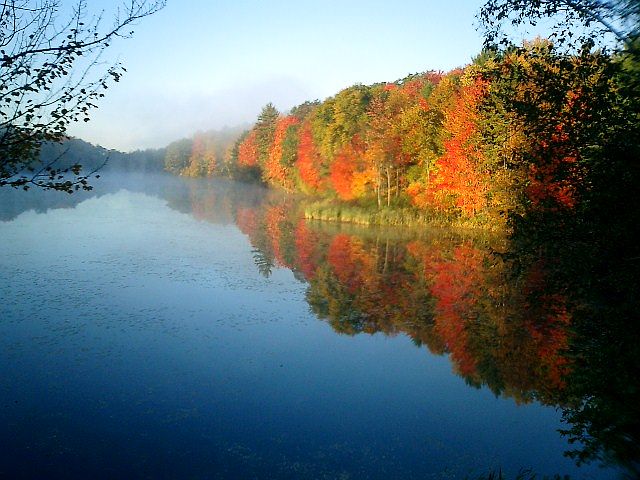 View in Fall