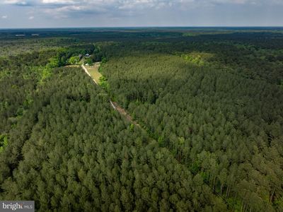 0 Route 12 Lot 1, Snow Hill, MD, 21863