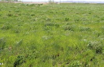 L1-2B3 Keys Cove Loop, Ray, ND, 58849