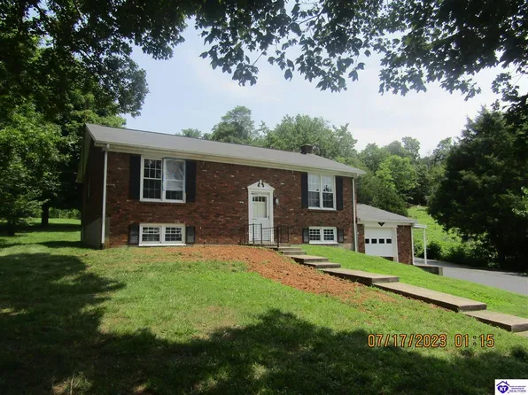 170 Ammons Ln, Guston, KY 40142