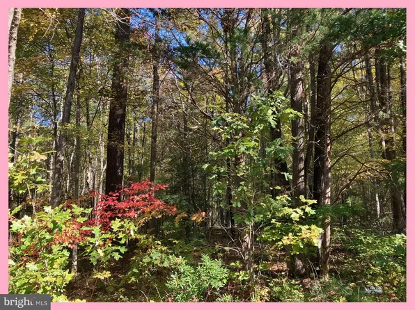 29 Woodbush Dr, Bushwood, MD 20618