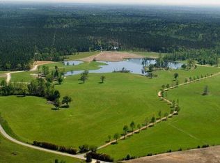 172 S Fork Rnch, Poplarville, MS 39470