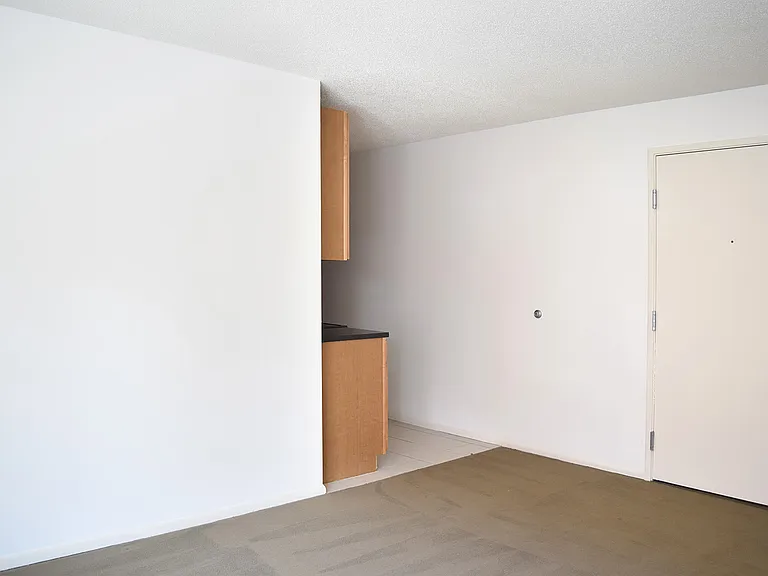 Dining/Living room