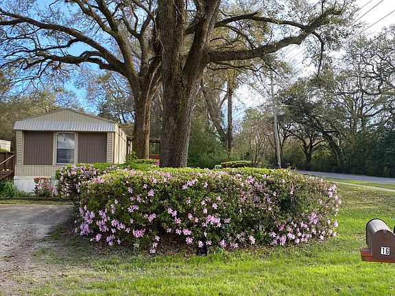 View of some Shrubs