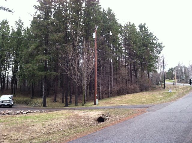 2nd image of Hines Lakeview Dr