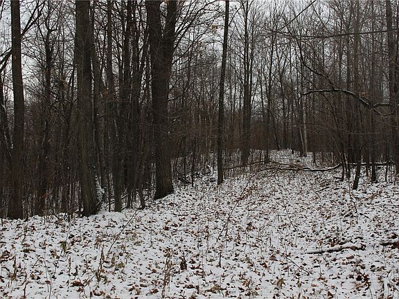 5th image of Lot 4 Erwins Oak Ridge