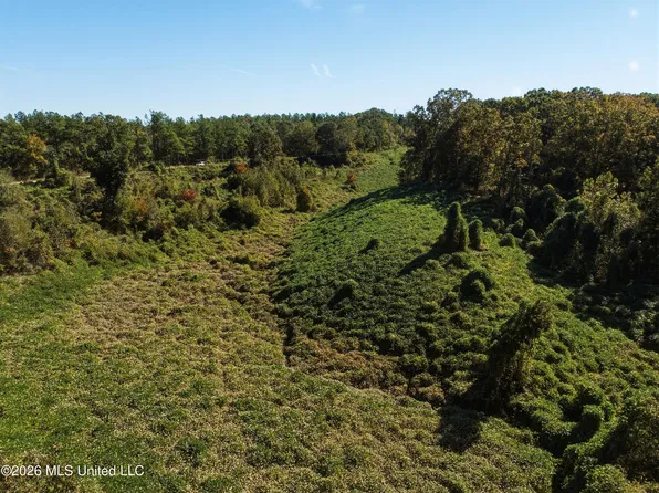 Stinson Rd, Holly Springs, MS 38635