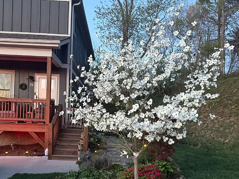 72 Wheeler Rd — Photo 2