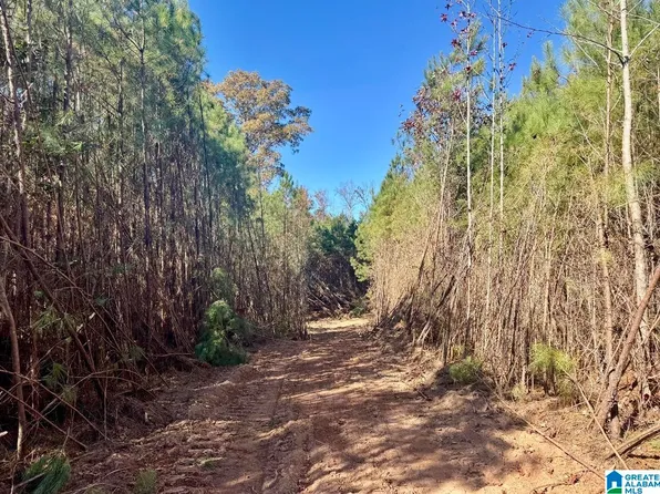 2094 County Road 79, Wadley, AL 36276