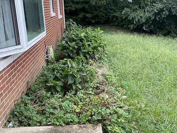 5th image of 1034 Birch Dr