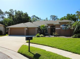 5919 Falconwood Pl, Lithia, FL 33547