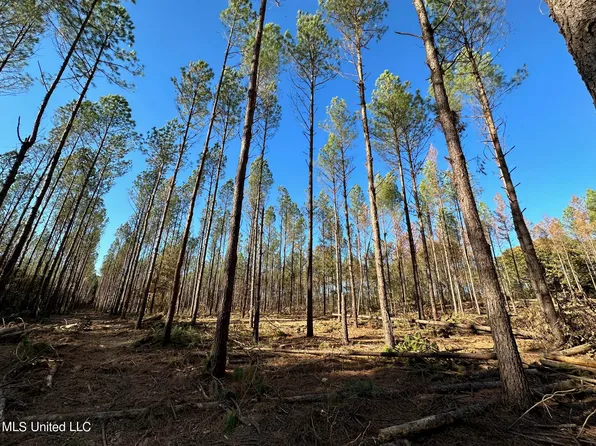 1 County Road 4137, Sallis, MS 39160