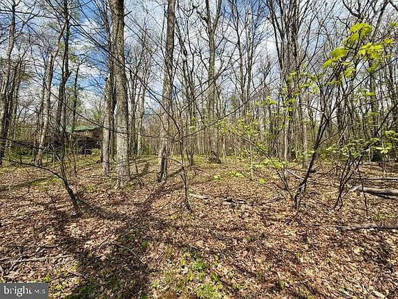 5th image of 13 Timberman Rd