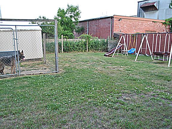 Yard