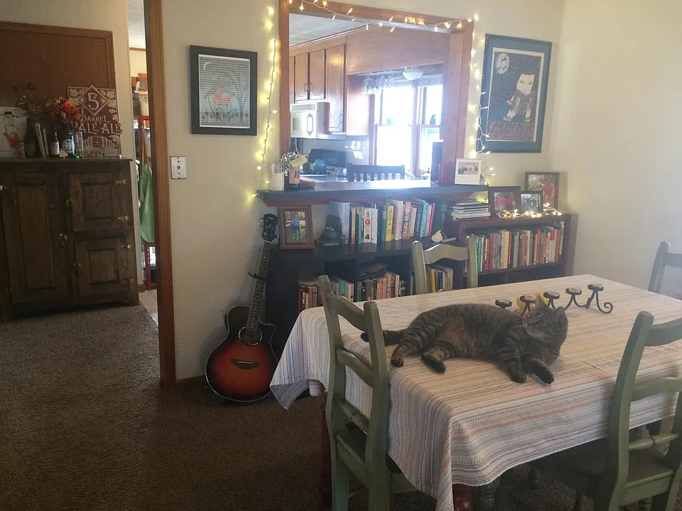 Dining area -- looking into kitchen