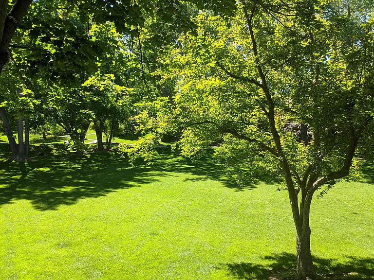 3004 W Long Dr — Photo 87