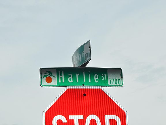 5th image of 7343 Harlie St