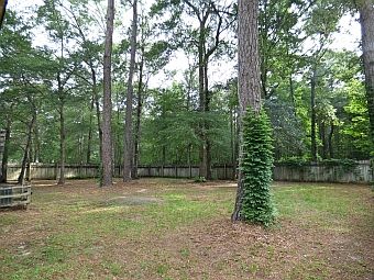 2nd image of 21 Candi Ln