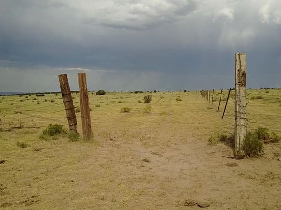 4th image of LOT 2 County Road 524