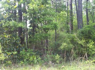 21 Jones Dr, Freeport, FL 32439